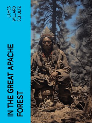cover image of In the Great Apache Forest